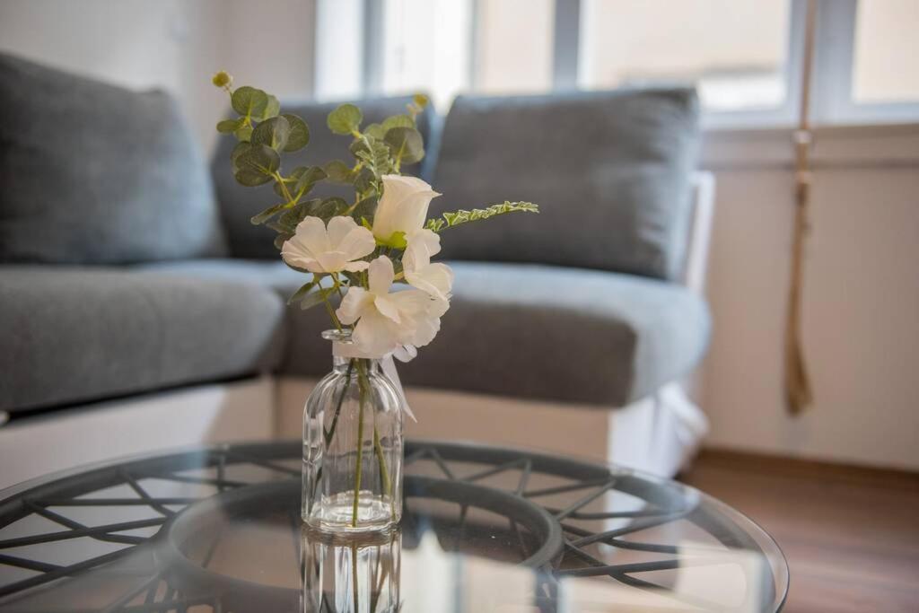 Aurora Apartment 자다르 외부 사진